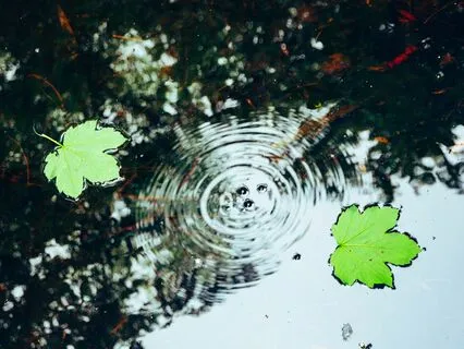 Pain Management - Leaning Into Sensations