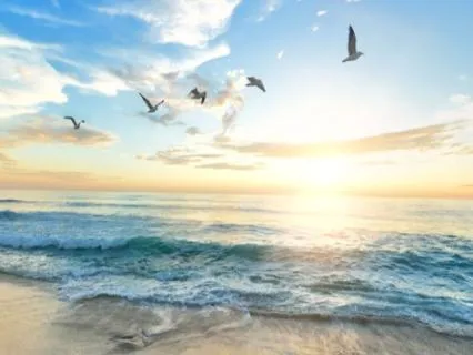 Pain Management Meditation