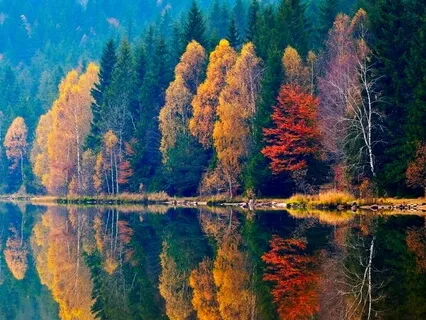 Pain Management - Somatic Tracking 3