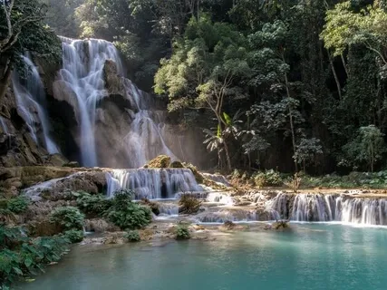 Reduce Pain - Endocannabinoid System Activation For Physical & Emotional Pain 