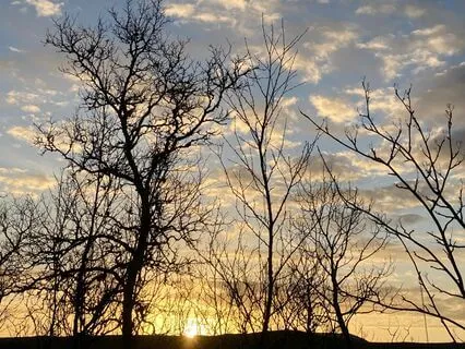 Pain Reduction For Physical And Emotional Pain