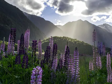 Pain Relief Guided Mediation: The Healing Spa