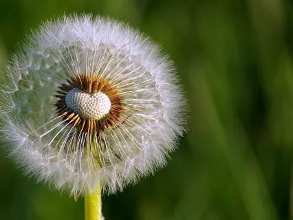 Pain Relief Through Spaciousness