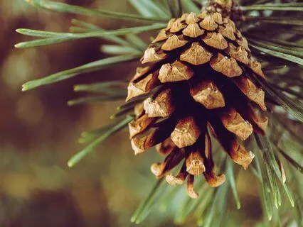 Painting The Mind White - Dec 28