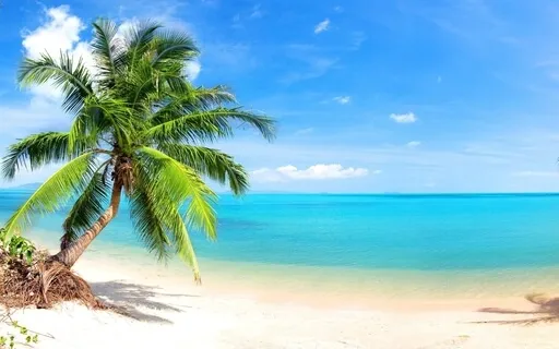 Palm Tree Beach Relax Meditation (Binaural Beats)