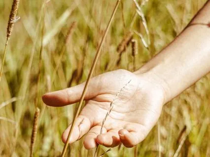 Palms Open: A Practice Of Release And Deep Settling