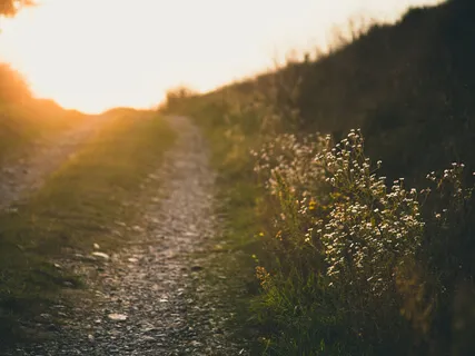 Pamela Gayle White: Mindfulness And Awareness In End Of Life Care