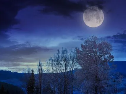 Pan Drum Meditation - Live from Insight Timer - 02.11.25