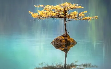 Panchatantra Series: Friends In Need