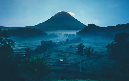 Pandora | Extrasolar Forest Soundscape