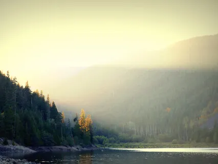 Panic Attack & Anxiety Meditation