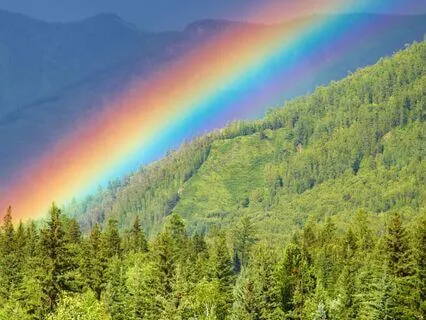 Panic Attack & Anxiety Relief: SOS Track