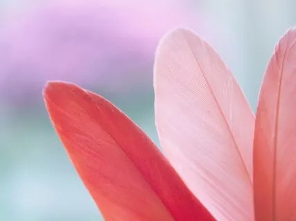 Panic Is Usually The First Response To Anything New - Try To Change That