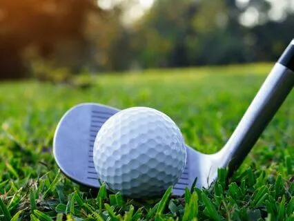 Par 4 Birdie: Golf Visualization Series