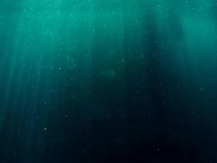 Para Armonizar y Aliviar El Estrés y Ansiedad