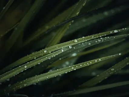 A Piece Of A Dream - Música Para Dormir, Relaxar Ou Meditar