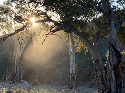 Parachilna: Focused Attention To Sound