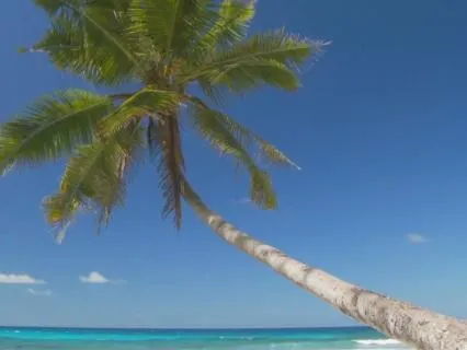 Paradise Escape | 432Hz Deep Relaxation, Sleep, & Letting Go