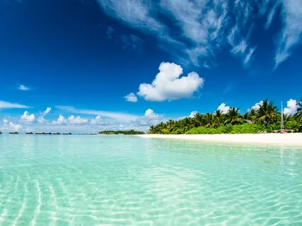 Paradise Point - Leave Your Problems Behind