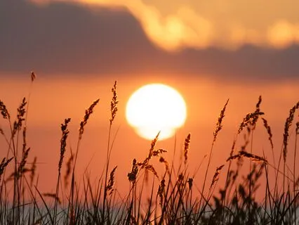 Parallel Reality - Dream Your Highest Self Awake