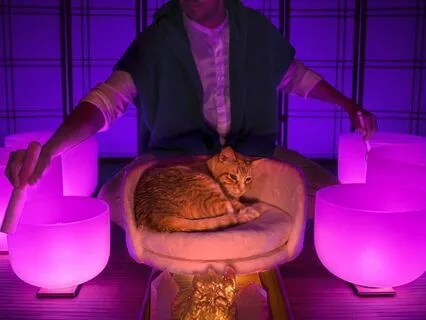 Parasympathetic Nervous System Sound Bath