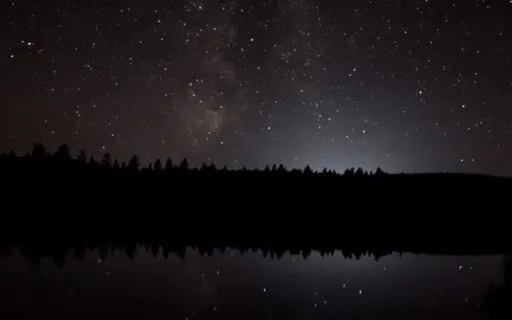 Parent And Babe Time