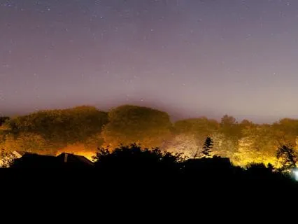 Parent Bedtime Reset: 20-Minute Continuous Soundscape
