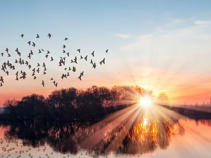 Parent Pause, A Meditation For Self-Care & Resetting