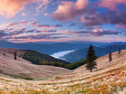 Parenthesis Of Peace