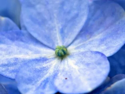 Parenting And Regretful Words