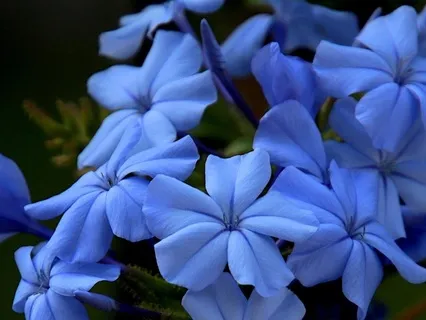 Parenting And Uncertainty