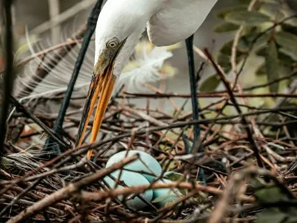 Parenting, Birth & Karma