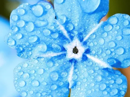 Parenting Worry And Mistakes