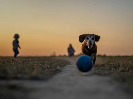 Relieve Anxiety With A Visualization Of Walking In A Park