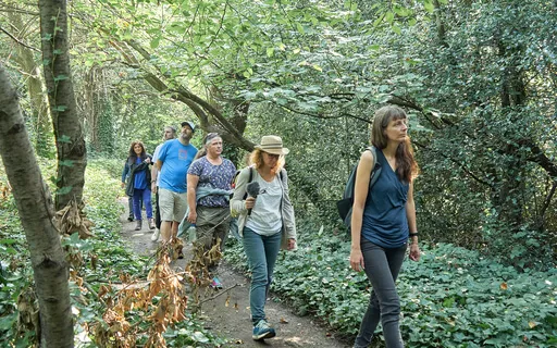 ParkBathe: Nature's De-Stress Revolution 