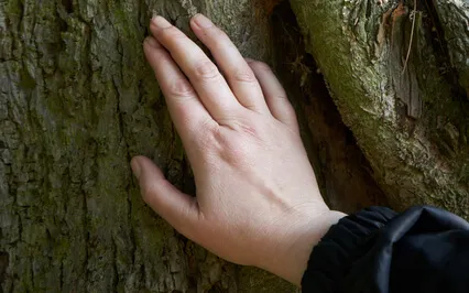 ParkBathe: The Awesome Science Of Forest Bathing