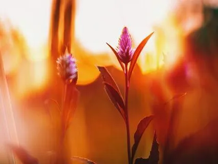 Part 1 / Finally Able To Invite, Embrace And Transform All