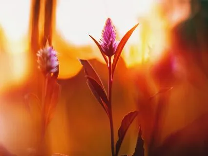 Part 2 / Finally Able To Invite, Embrace And Transform All