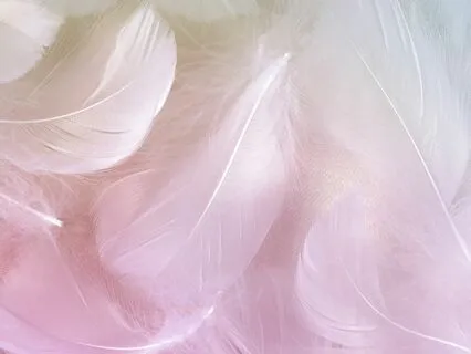 Part 2 Journey Of The Soul: The Spark Of Curiosity