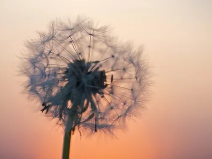 Part 2 -  The Substance Of Enlightenment