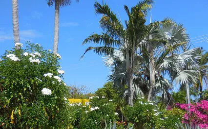 Part 2 Yoga Sutras Steps 5-8 From Patanjali 