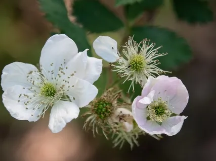 Part 3: Back To Wellness 