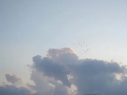 Part 3 Of 6 - The Fundamentals Of Meditation