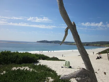 Part 7: Guided Meditation