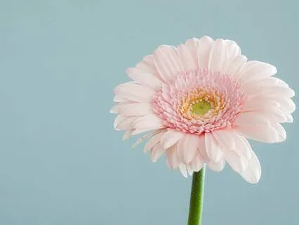 Part I : Be Impeccable With Your Word