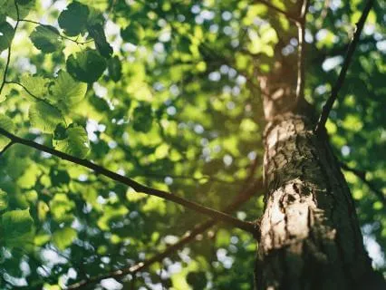 Part III : Don't Make Assumptions