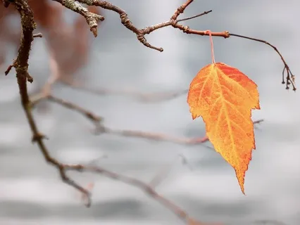 Parting Ways: Healing & Letting Go of a Relationship