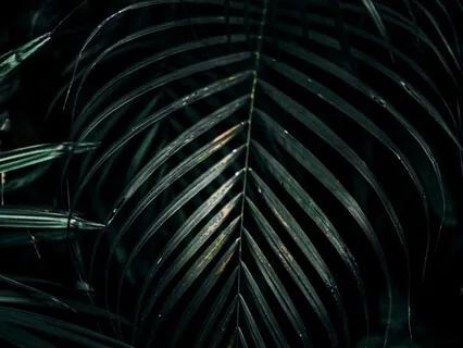 Partner Meditation For Visual Transfiguration