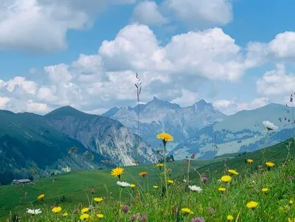 Parts Work For Overwhelm