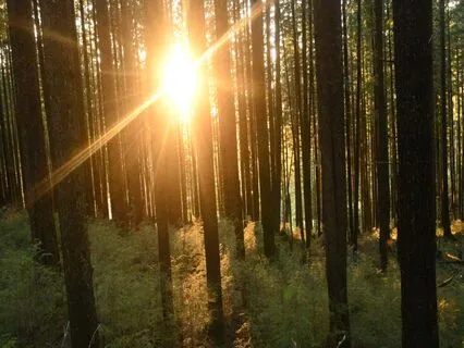 Parts Work Meditation: Inner Critic Check-in